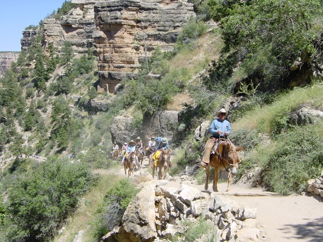 Gran Canyon South Rim (3)
