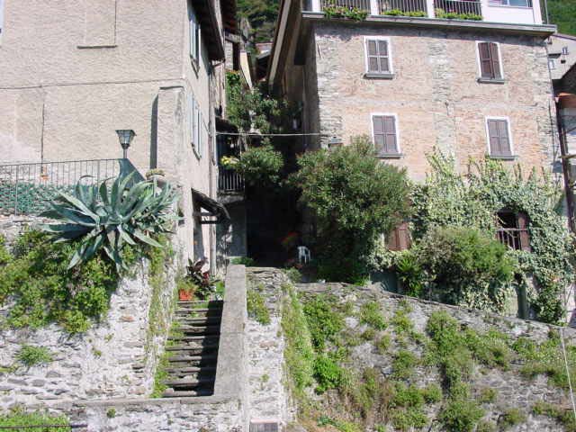 DSC00008