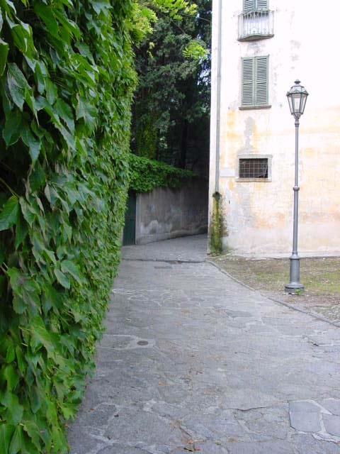 DSC00006