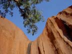 ayers rock (1)