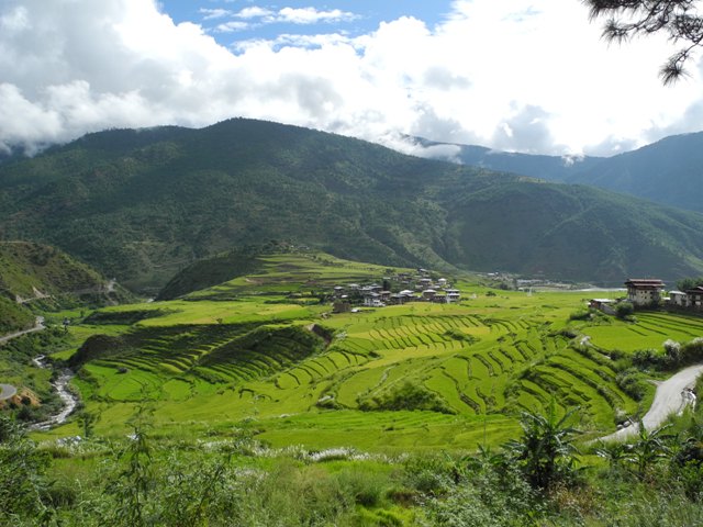 g-bhutan-punakha (6)