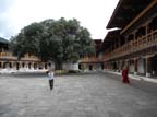 g-bhutan-punakha (26)