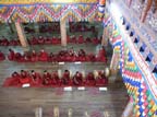 g-bhutan-punakha (39)