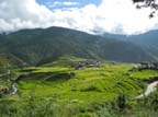 g-bhutan-punakha (6)
