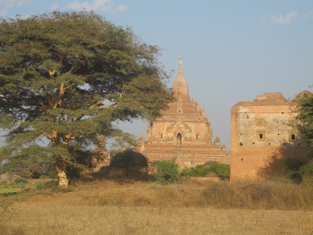 g-bagan (117)