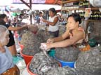 a-yangon-roccia-d'oro (97)