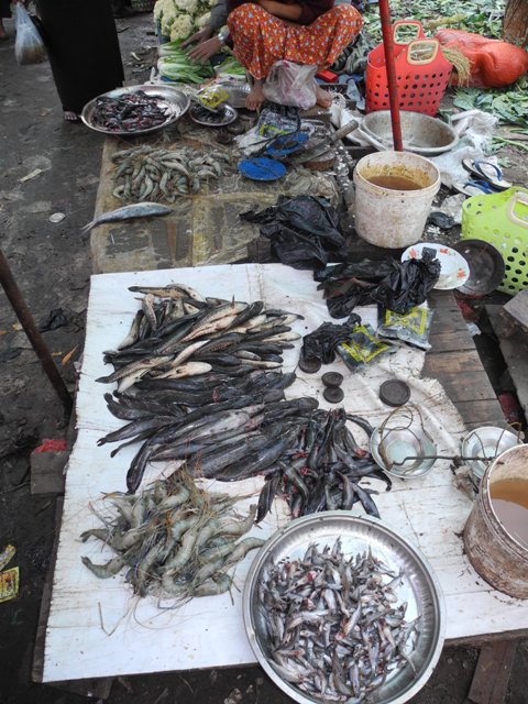 a-yangon-roccia-d'oro (86)