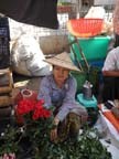 a-yangon-roccia-d'oro (62)