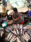 a-yangon-roccia-d'oro (78)