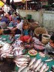 a-yangon-roccia-d'oro (80)