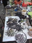 a-yangon-roccia-d'oro (86)