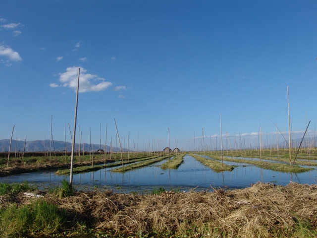 c-lago-inle (275)