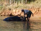 c-lago-inle (298)