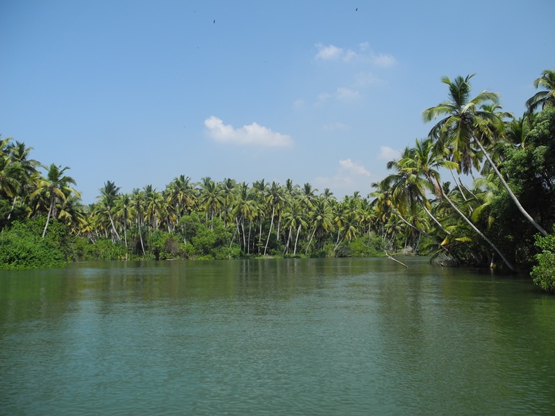 kerala (337)