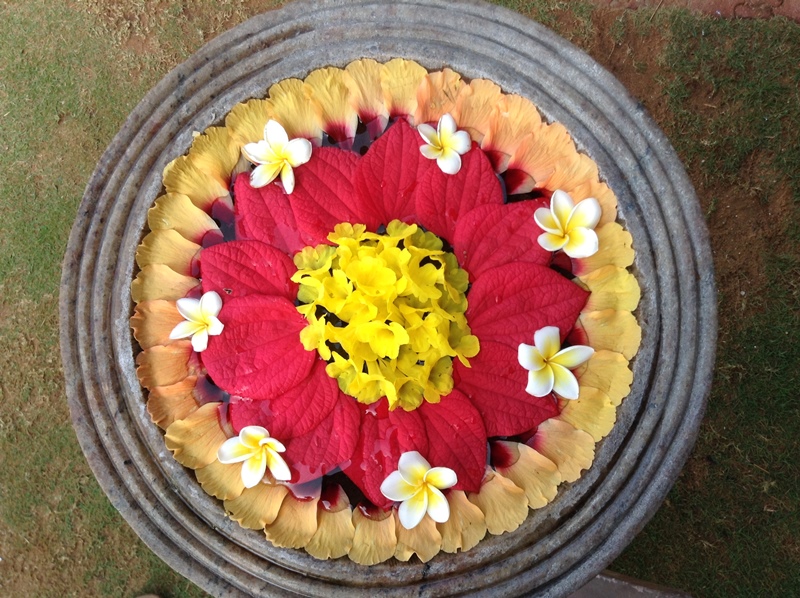 kerala (302)