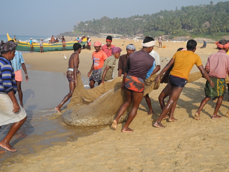 kerala (31)