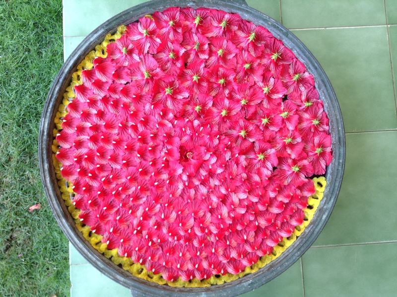 kerala (325)