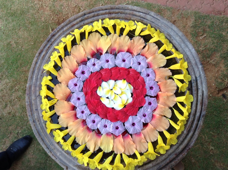 kerala (348)
