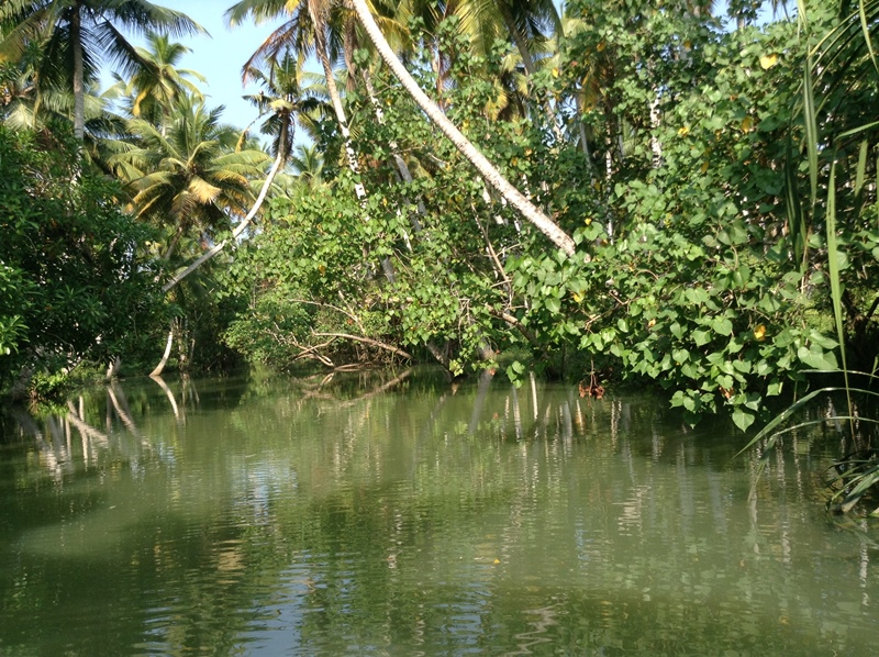 kerala (375)