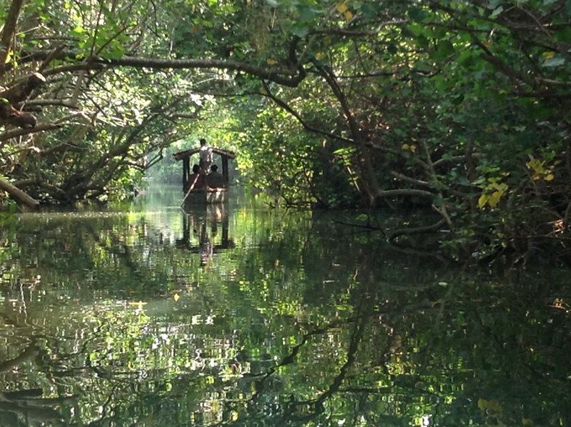 kerala (377)