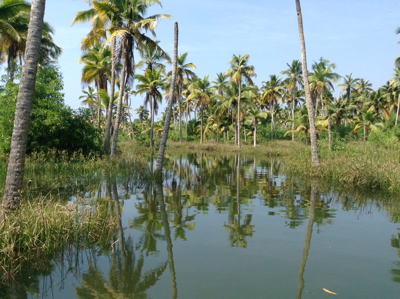 kerala (392)