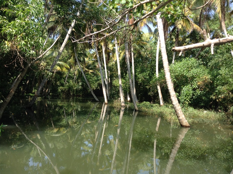 kerala (396)