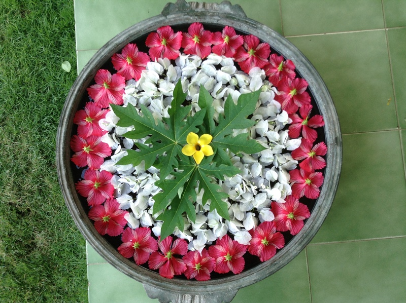 kerala (417)