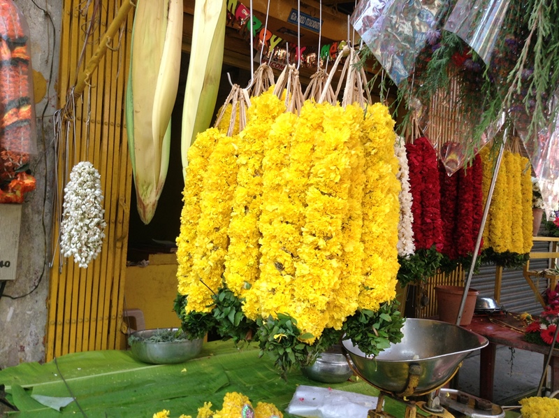 kerala (450)