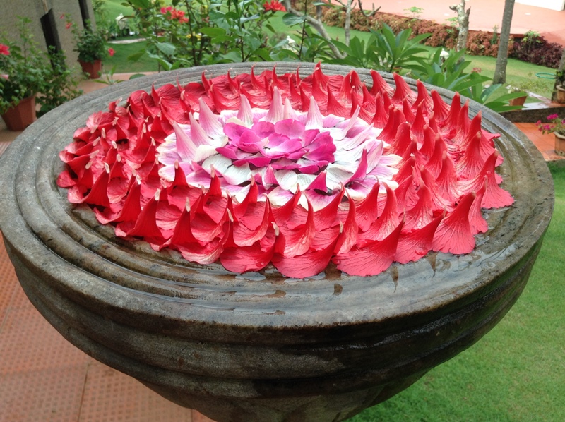 kerala (480)