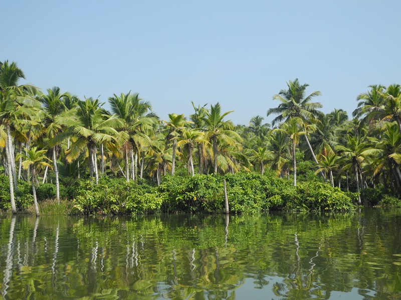 kerala (59)