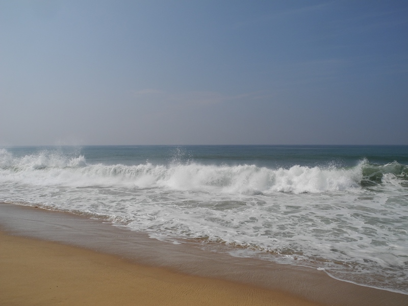 kerala (62)
