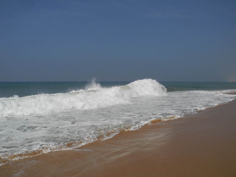 kerala (65)