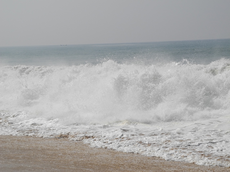 kerala (72)