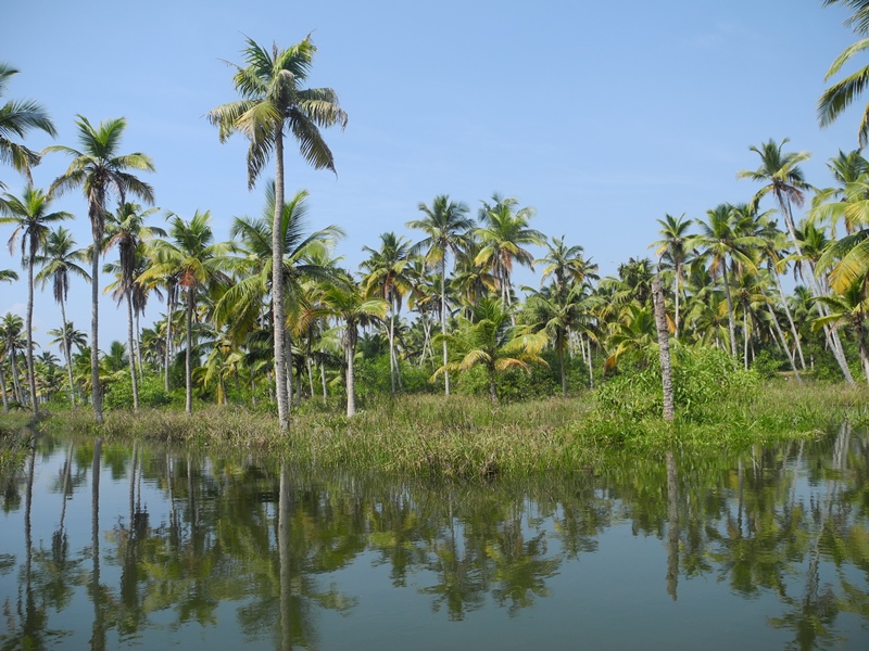 kerala (85)
