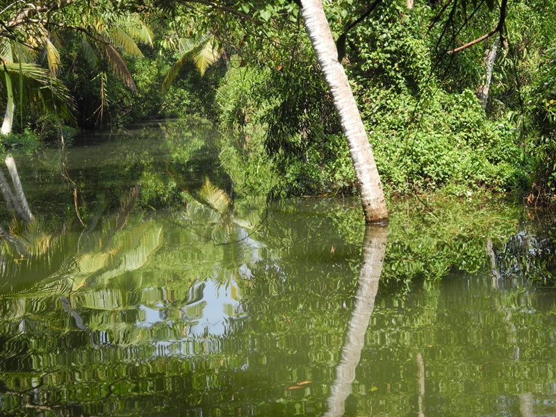 kerala (88)
