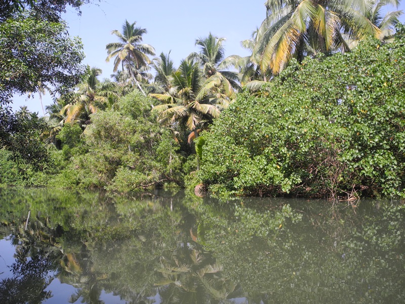 kerala (92)