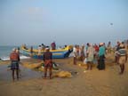 kerala (12)