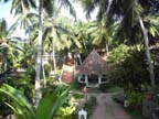 kerala (222)