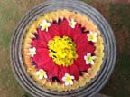 kerala (302)