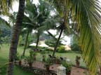 kerala (322)