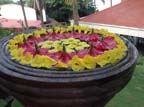 kerala (350)
