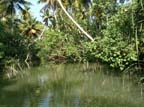 kerala (375)