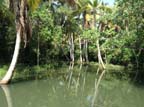 kerala (395)