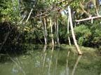 kerala (396)