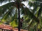 kerala (468)