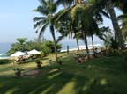 kerala (499)