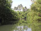 kerala (91)