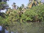 kerala (92)