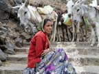 gujarat (308)