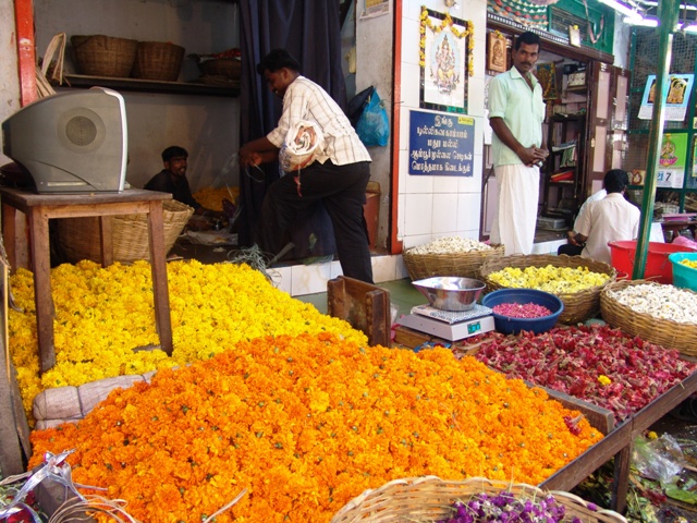 c-pondichery (17)